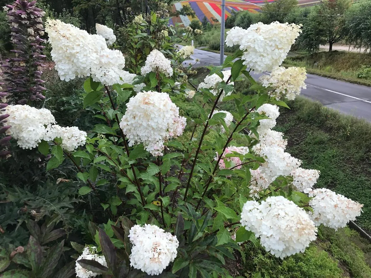 Country house Ritz Garden Niji Guest House Biei Japan