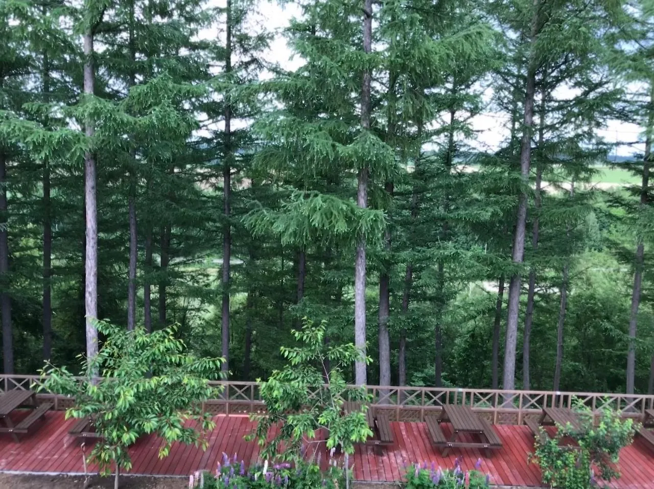 Ritz Garden Niji Guest House Biei Japan