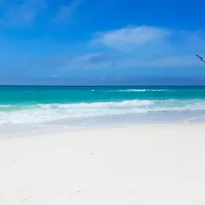 https://summerhouse-1009b-by-realjoy-vacations.panamacity-beachhotels.com