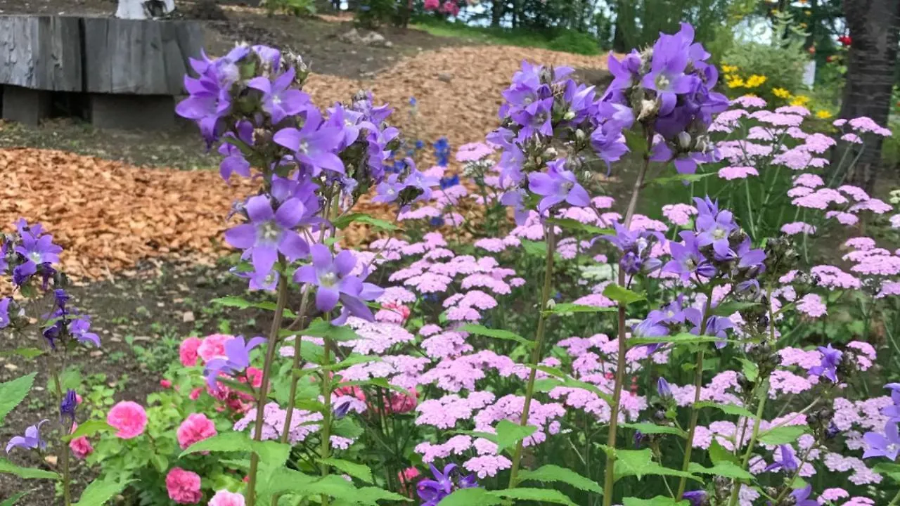 Ritz Garden Niji ξενώνας Biei Εξοχικό σπίτι