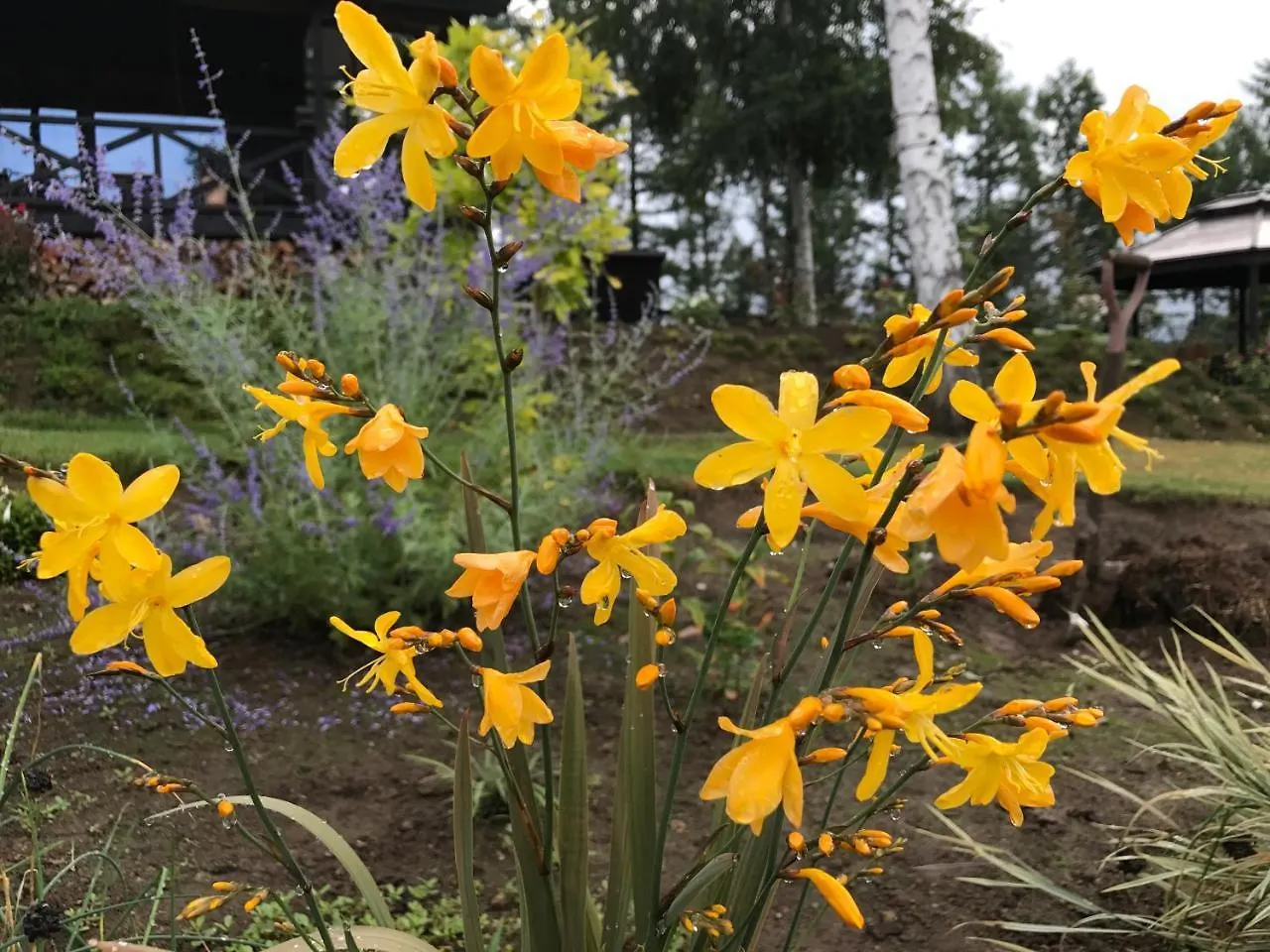 Ritz Garden Niji ξενώνας Biei Ιαπωνία